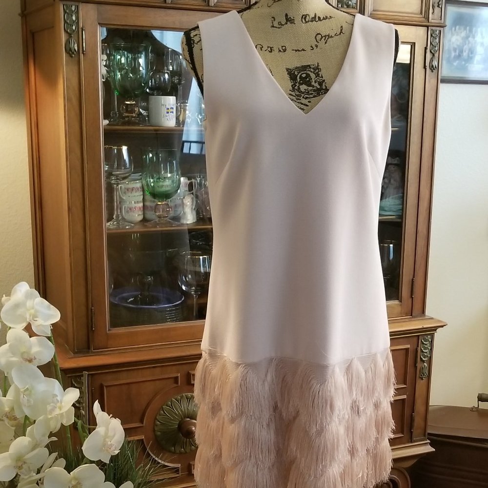 BCBG Maxazria Addilyn size 6 Dress Bare Pink